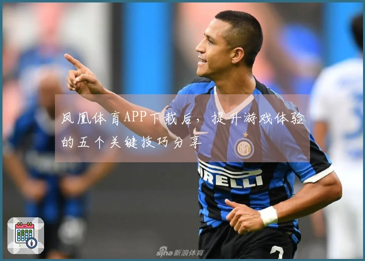 凤凰体育APP下载后，提升游戏体验的五个关键技巧分享