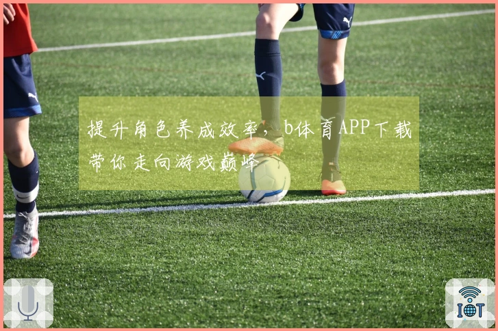 提升角色养成效率，b体育APP下载带你走向游戏巅峰