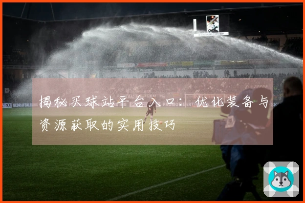 揭秘买球站平台入口：优化装备与资源获取的实用技巧